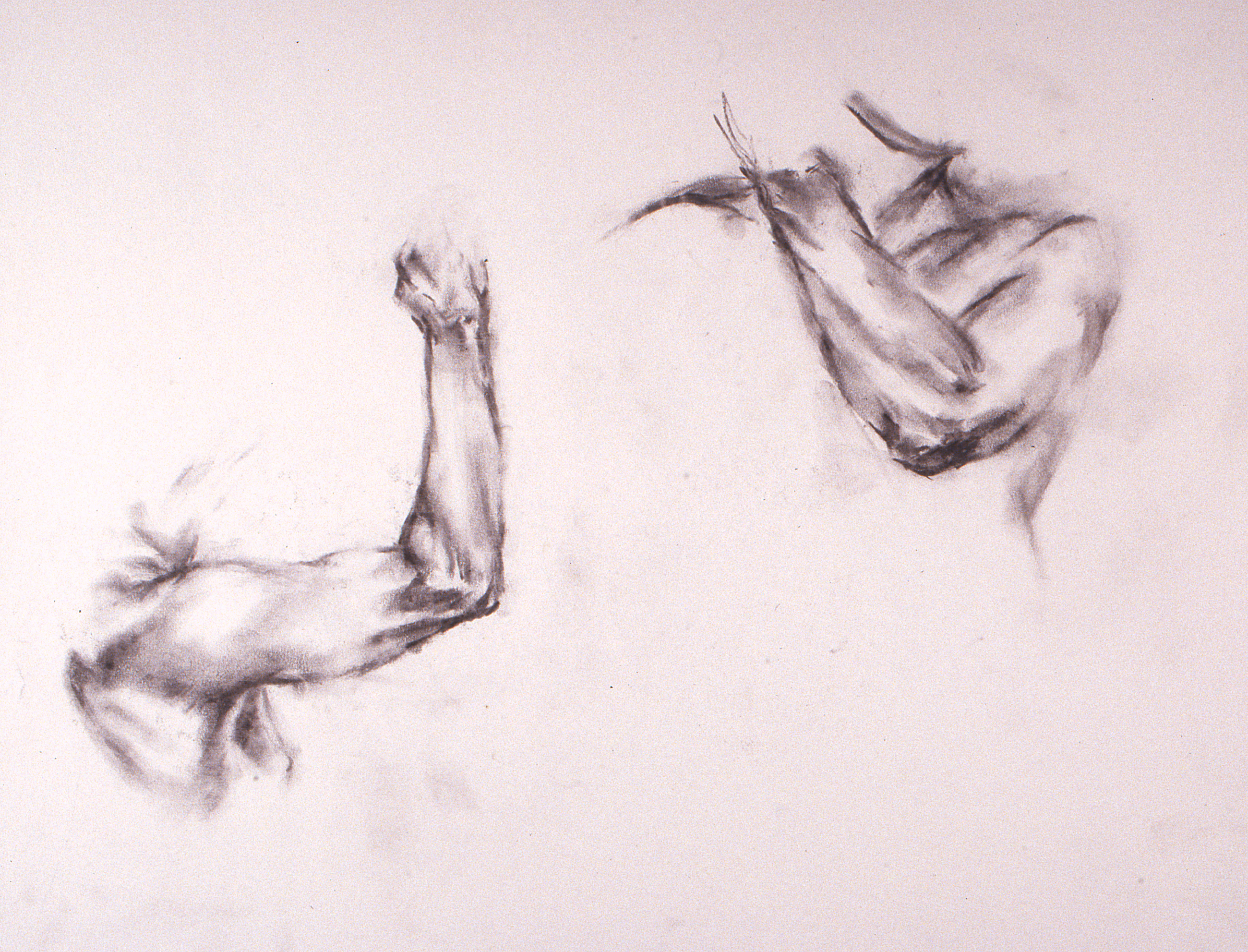 figure drawing sessions